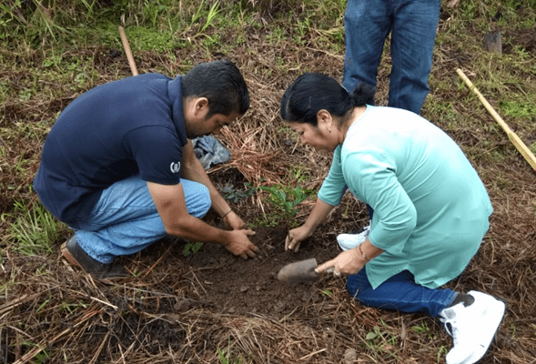 Invita gobernador a ciudadanía a reforestar zonas afectadas por incendios