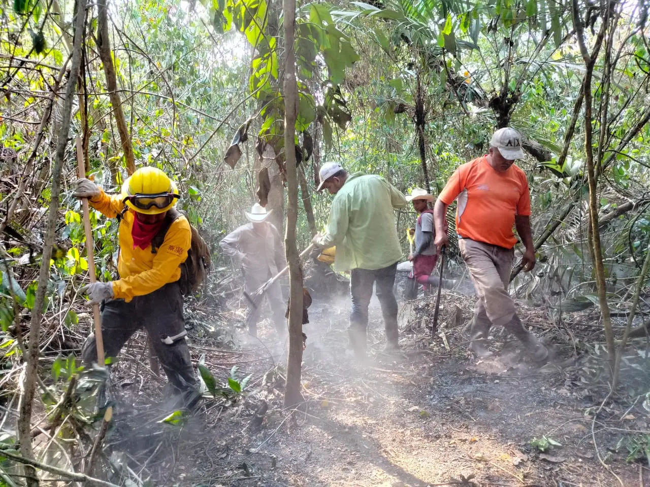 En ola de calor, hay 16 incendios forestales activos en Veracruz