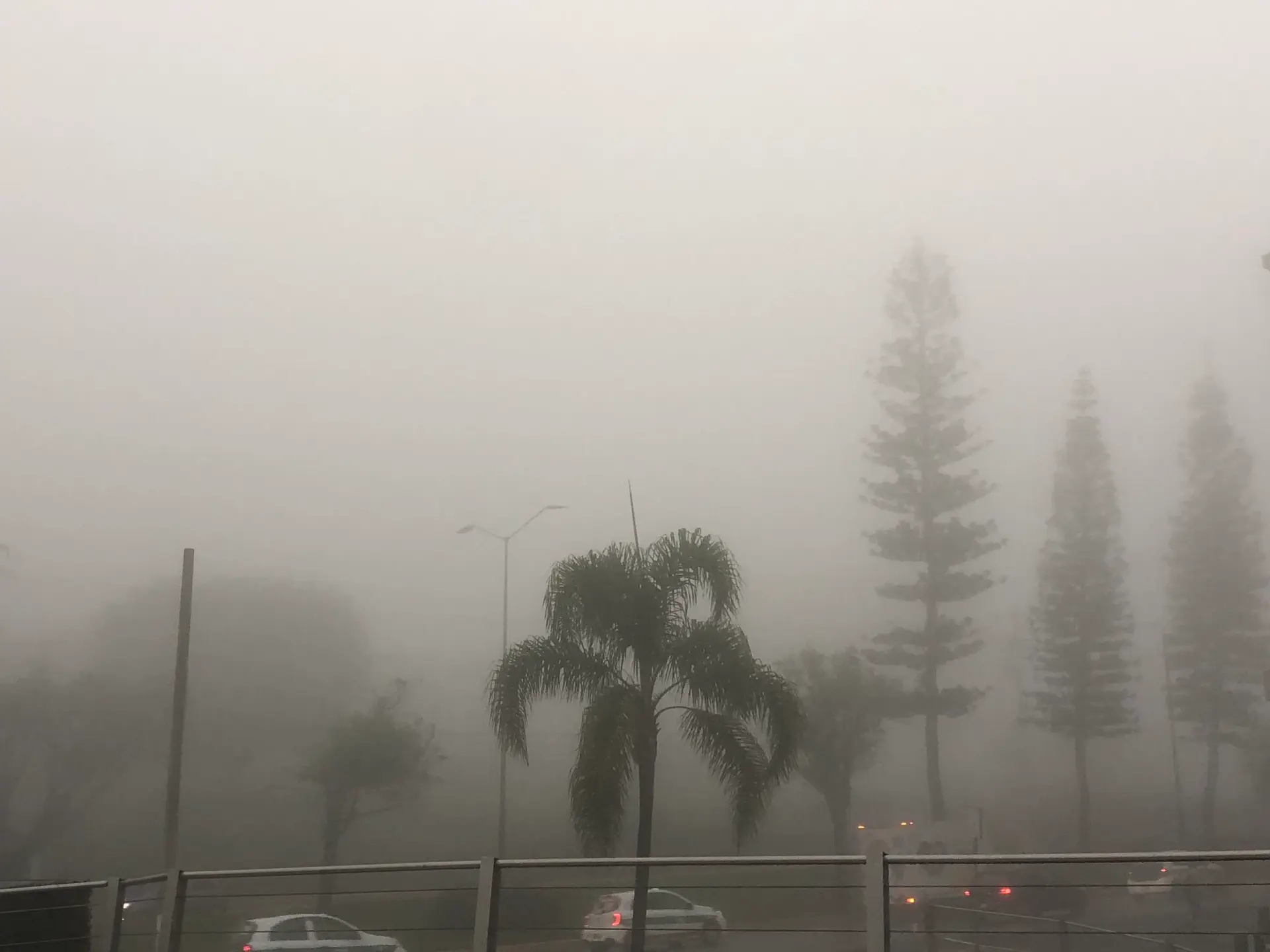 Baja la temperatura en Veracruz, se esperan lluvias y nieblas