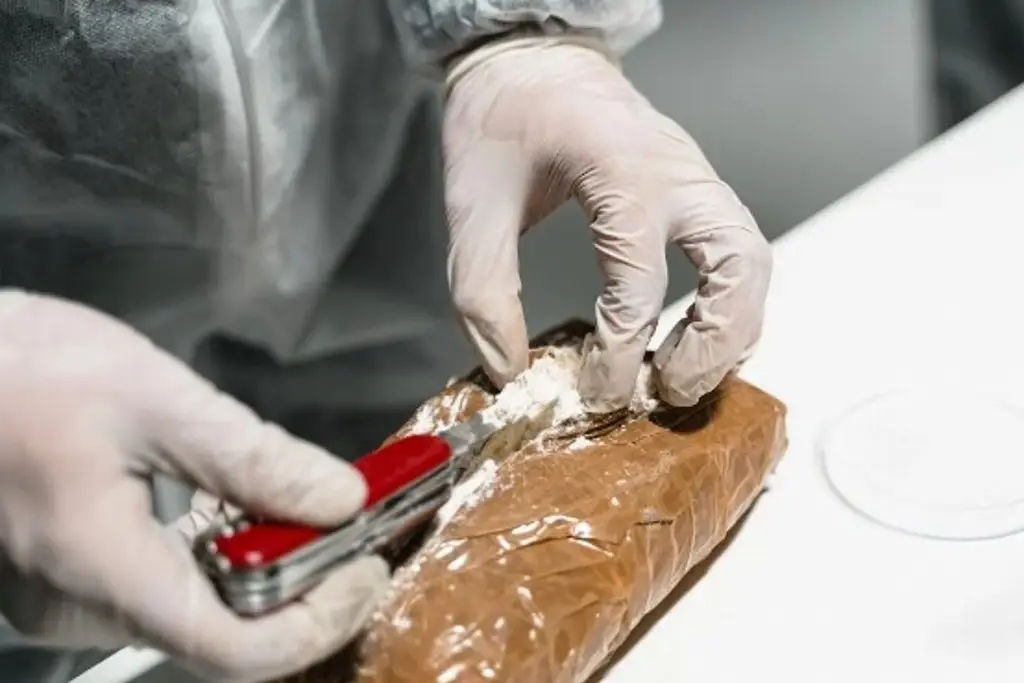 Decomisan 420 kilos de cocaína en una avioneta y un vehículo