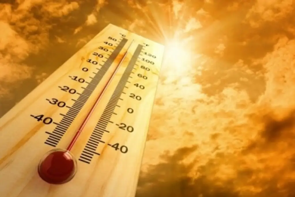 ONU advierte que el mundo debe prepararse para olas de calor más intensas