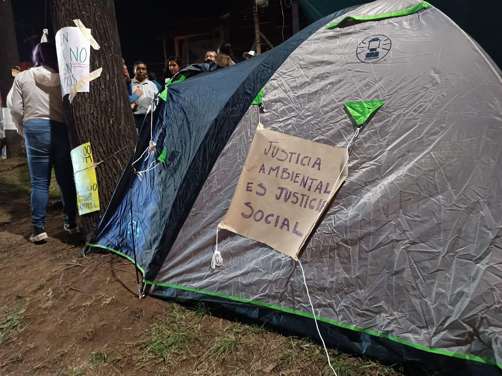 “Son simuladores”, los ambientalistas que quieren impedir el derribo de árboles en Lázaro Cárdenas: Cuitláhuac García