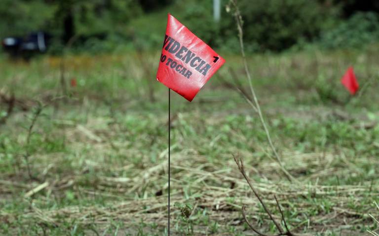 «Es un nahual», localizan restos de extraño animal en el norte de Veracruz