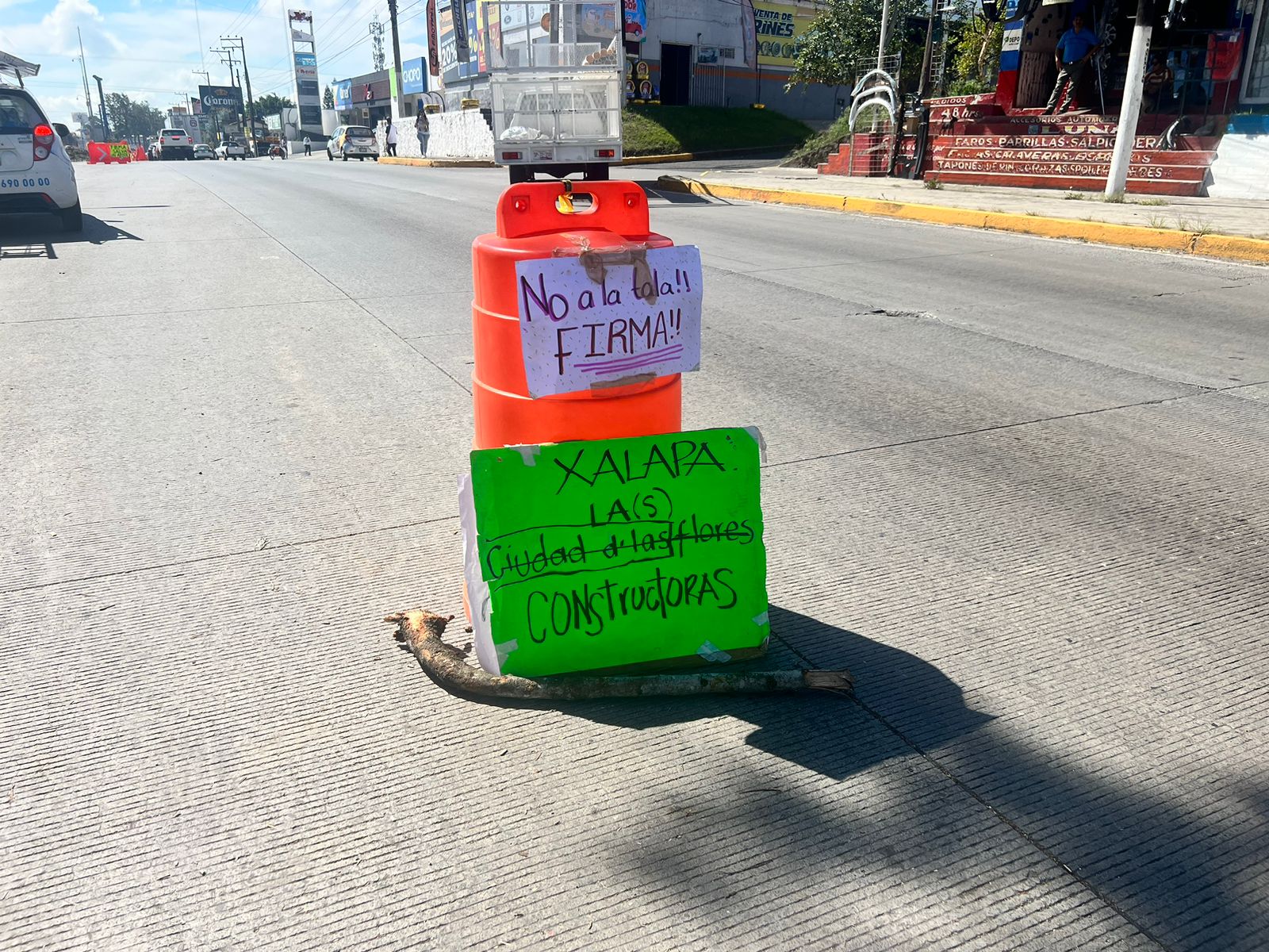 Ambientalistas plantados en Lázaro Cárdenas son amenazados con desalojarlos