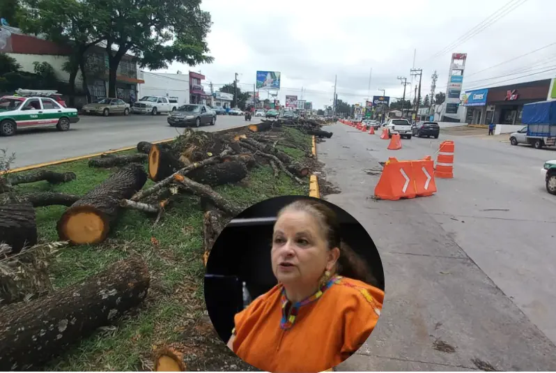 En tribuna, diputada de Morena exige frenar tala de árboles en Xalapa