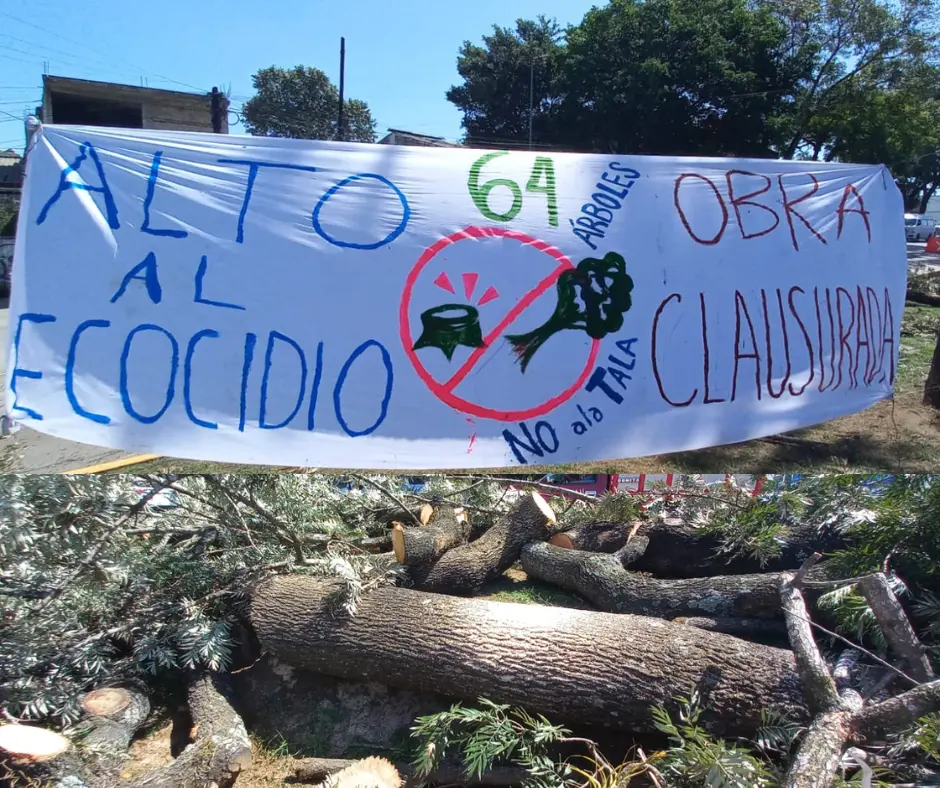 Ambientalistas ganan amparo: suspenden temporalmente obra en Lázaro Cárdenas