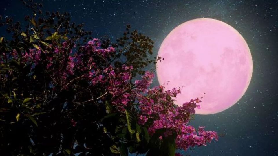 Superluna de ciervo, mejores fechas de JULIO para cortarte el cabello y cambiar tu vida