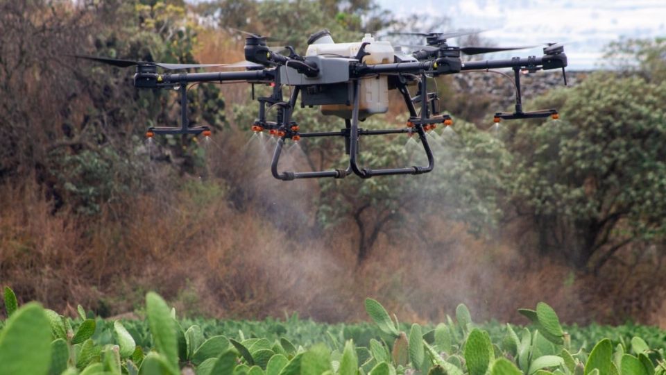 Sedema presenta el futuro de la agricultura: despliegan dron para mejorar trabajos de cultivos