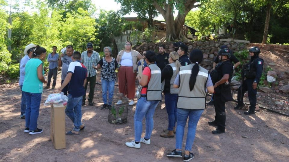 Violencia en Sinaloa: quema de vehículos y enfrentamientos desplazan a más de 60 familias