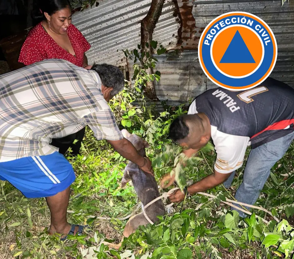 Rescatan a perrito que cayó a pozo de 8 metros en Cosoleacaque