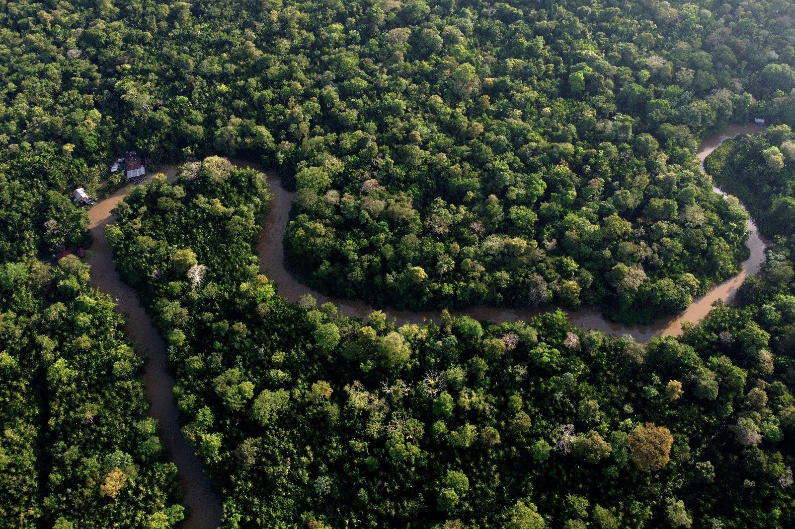 Cumbre amazónica concluye con llamado a proteger selvas, pero sin objetivos concretos