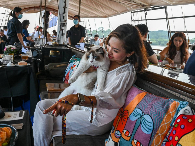 ‘Crazy Rich ¿Cats?’ Los ricos en Singapur llevan a sus gatos a un crucero de lujo