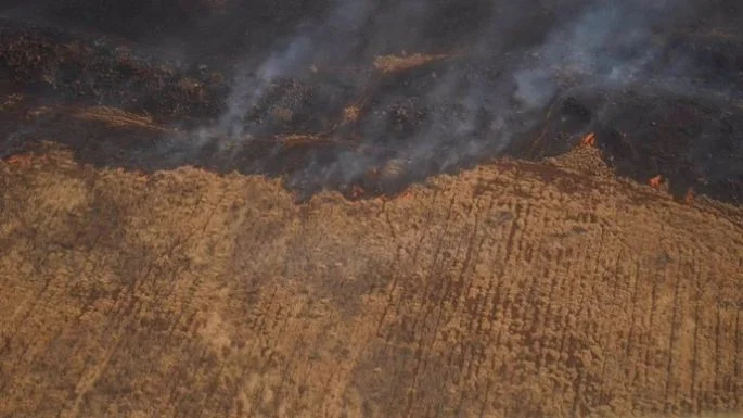 Tras incendios, Biden decreta zona de desastre en Hawái