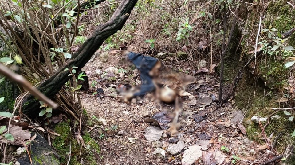 Madres Buscadoras de Jalisco encuentran restos humanos en el Bosque La Primavera