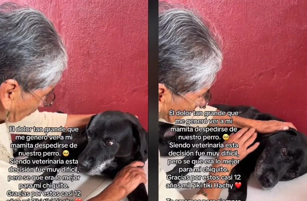 “Quiero que te vayas contento”: despide a su perro de 12 años