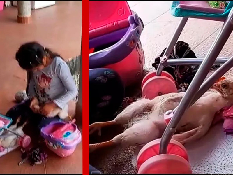 Niña utiliza pollos para jugar a las muñecas; video causa polémica