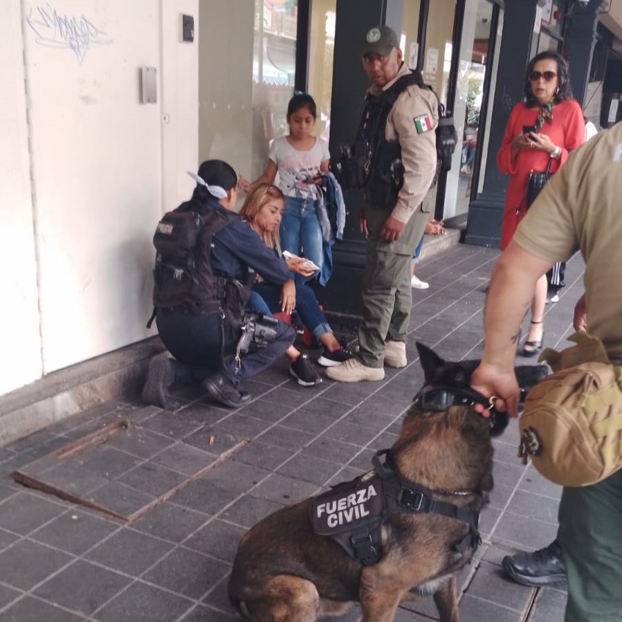 Una femenina es rasguñada por un K9 en el centro de la capital