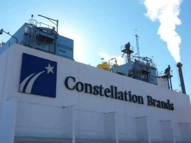 Transportistas exigirán a Constellation Brands trabajar con veracruzanos