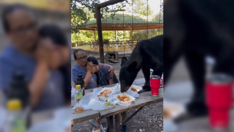 Un oso negro se come los tacos y enchiladas de una familia que tenía un día de campo en el parque Chipinque en San Pedro Garza García