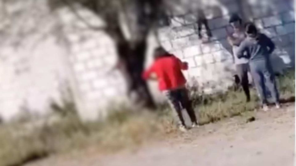 El video de la muert3 de un perro colgado en un árbol indigna a Puebla, animalistas piden castigo para los agresores