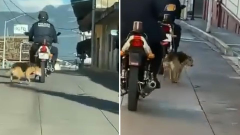 Exhiben a policía por arrastrar a un perrito con su motocicleta, exigen ayudar al animal y procesar al responsable