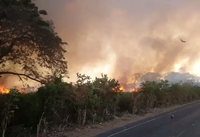 Mujer muer3 calcinada en su vivienda por incendio en un cañal