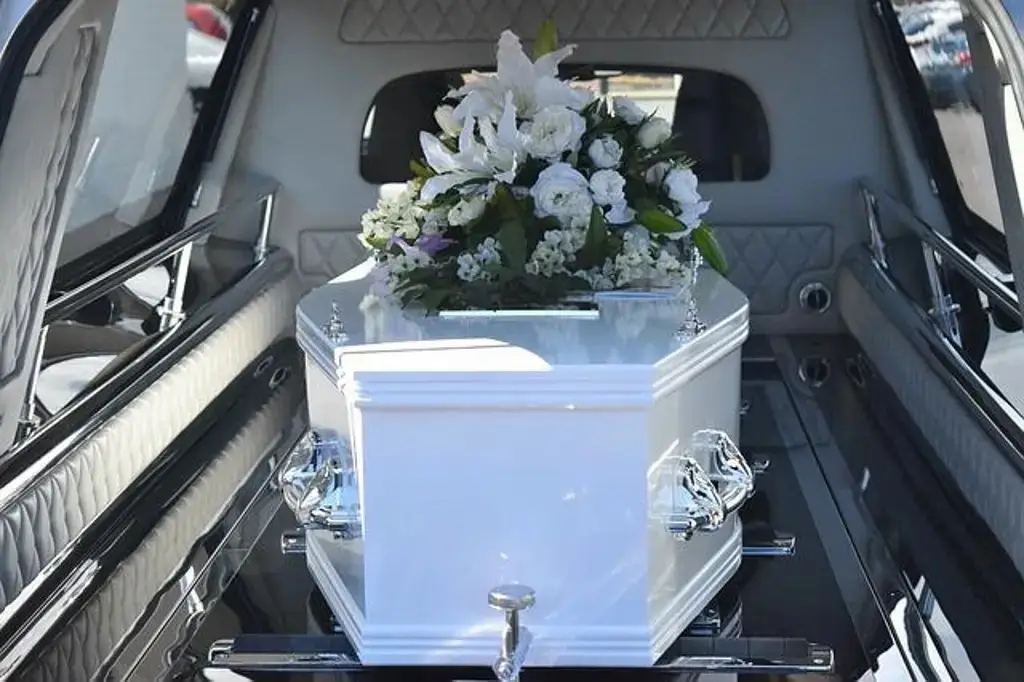 Roban carroza funeraria con todo y cuerpo