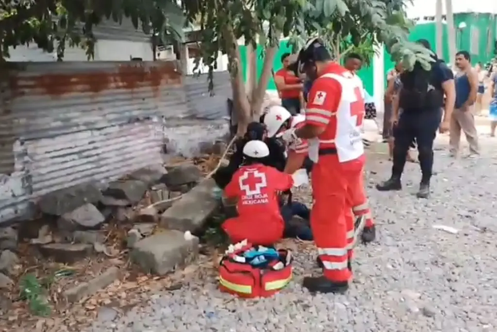 Casi le rebana la mano al machetearlo, en la Pochota de Veracruz