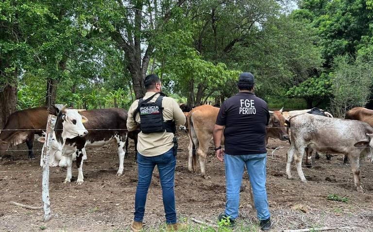 Realizan operativos para prevenir abigeato en Veracruz