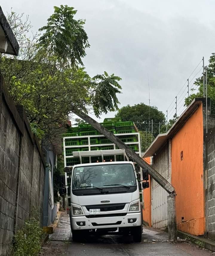 CAE POSTE DE LUZ EN COL. LOS MANGUITOS, AFECTA UN VEHICULO