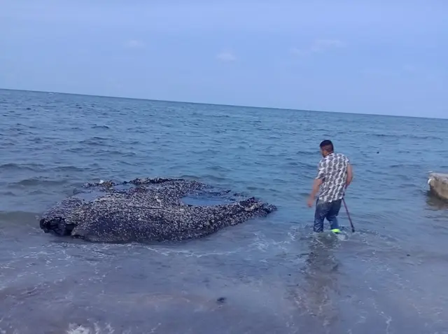 Pescadores hallan trozos de chapo frente a isla Verde, en Veracruz