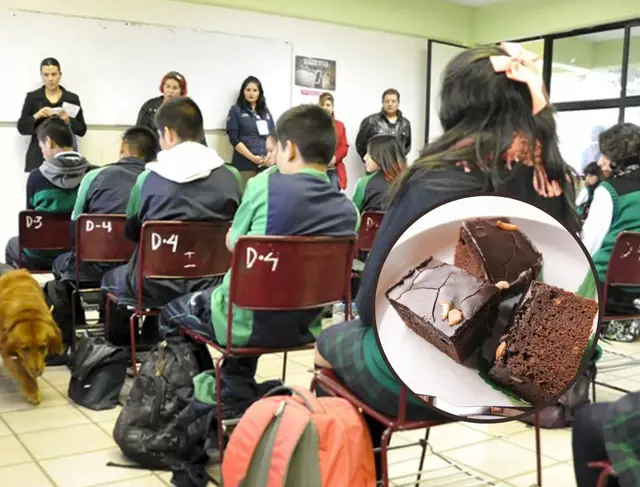 Por brownies mágicos, reforzarán operativo mochila en escuelas de Veracruz