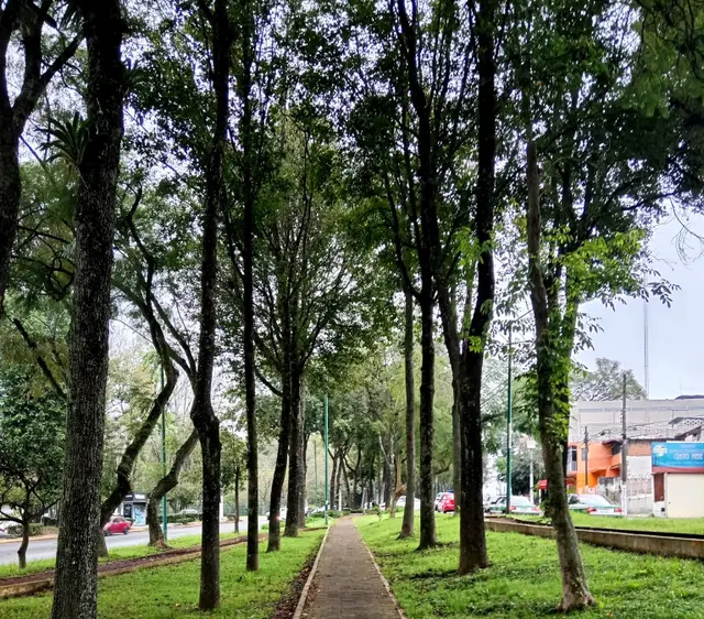 Este martes 17 de Octubre habrá un clima fresco en Veracruz