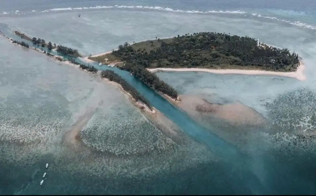 Por caso de gripe aviar cierran acceso a Isla Lobos, en Veracruz