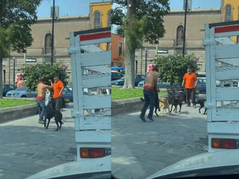 En mi casa y con mi banda… se me respeta: perros le hacen el paro a indigente