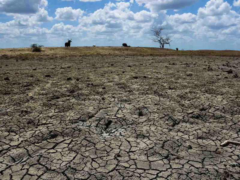 A 15 días de que acabe temporada de lluvias, presas del país con déficit de 29%