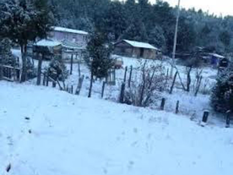 ¡Ah, Chihuahua! Caen las primeras nevadas en la Sierra Tarahumara