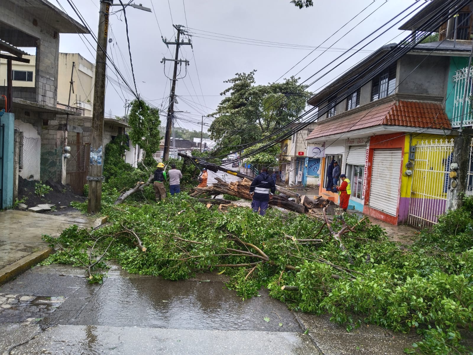 🚨 FUERTES AFECTACIONES DEJA FRENTE FRIO NÚMERO 8 EN SAN ANDRÉS TUXTLA.