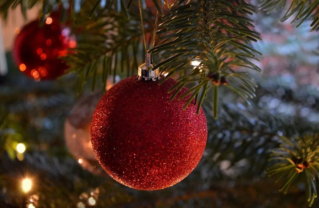 ¿Cuándo y dónde surge la tradición de poner el árbol de Navidad?