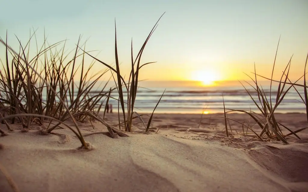 Muere joven tras ser “tragado” por un agujero de arena en una playa