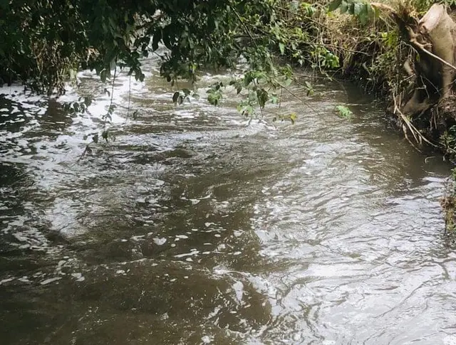 Sedema sancionaría a alcoholera por contaminar río de Atoyac