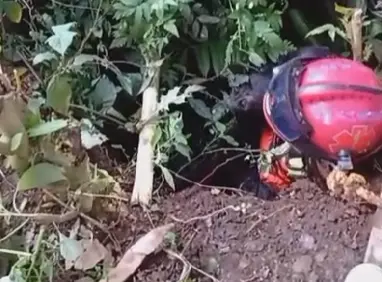 Lomito cae a pozo de 20 metros al espantarse por pirotecnia en Fortín