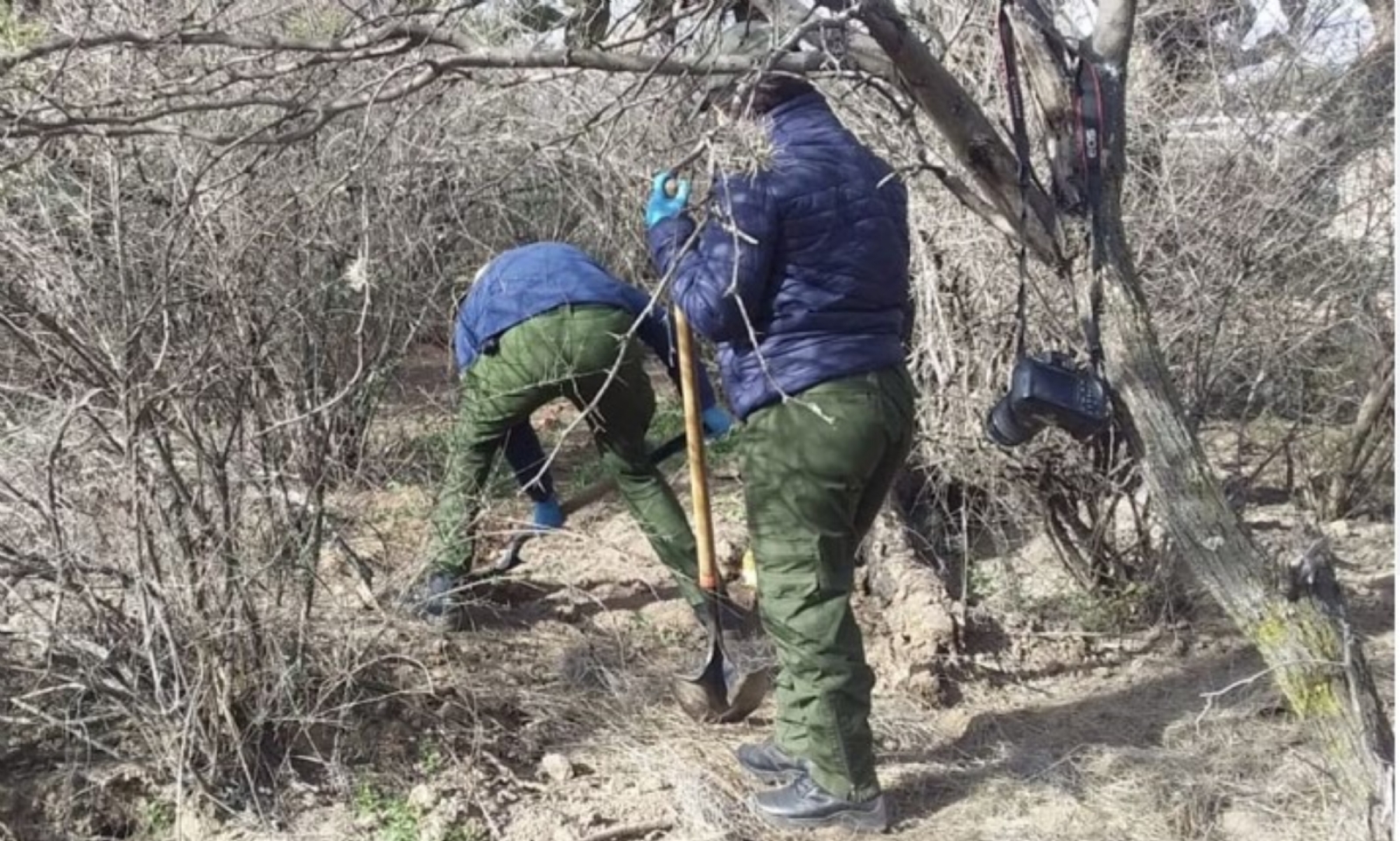 Hallan 10 cadáveres en fosa clandestina de Luis Moya, Zacatecas