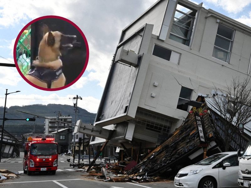 ‘Lomito’ rescatista saca de los escombros a abuelita tras terremoto en Japón