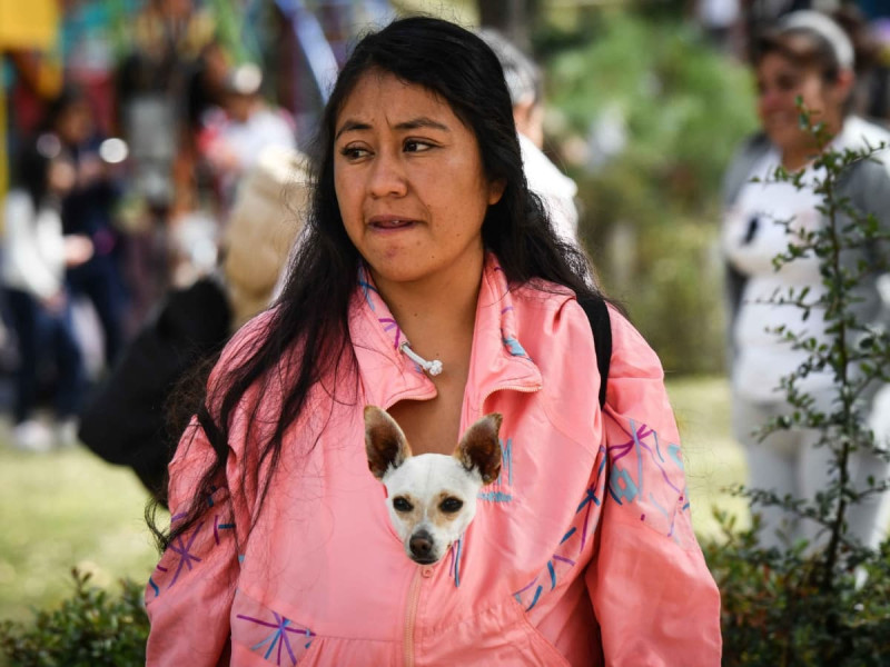 ¿Es cierto que bañar a tu perro en invierno daña su salud?