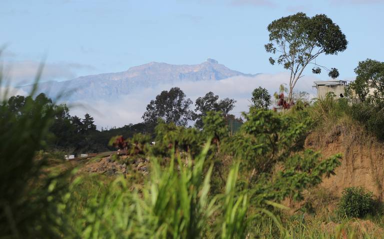 ¿Las cabañuelas sirven para predecir el clima del año? Experto lo explica