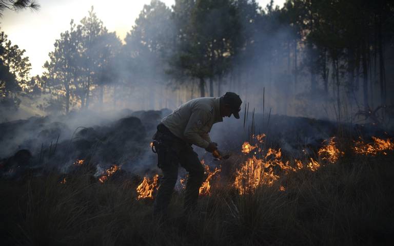 El fuego consume nuestros bosques; 218 incendios en 2023