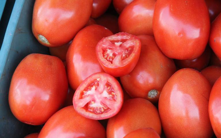 ¿Cuándo bajará el precio del tomate? No ha disminuido desde el 2023