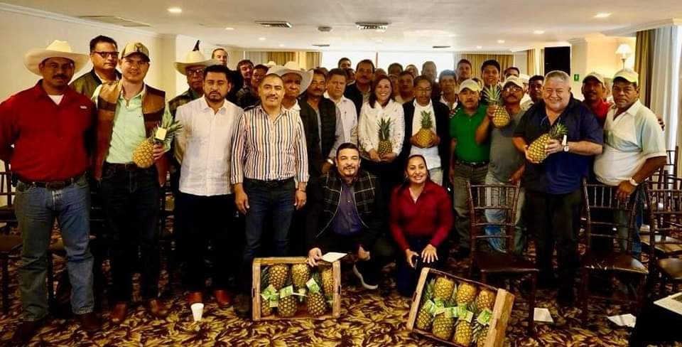 Nahle y Cazarín «tiran piñas» con productores piñeros de #Veracruz.