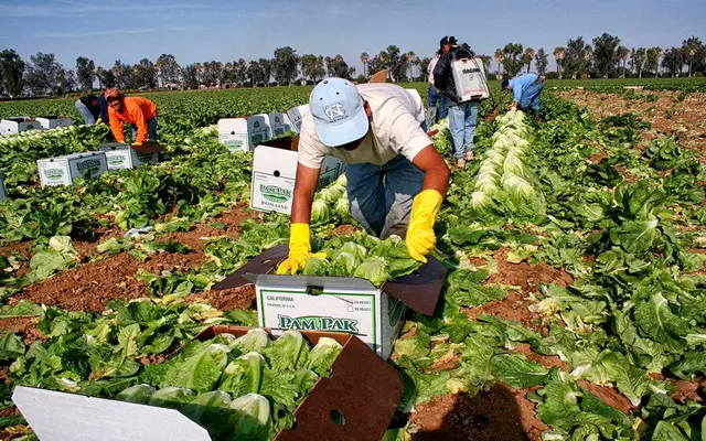 Crimen atemoriza a agricultores con cobro de piso en Veracruz